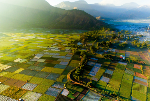 Lombok 5 Days 4 Nights Package